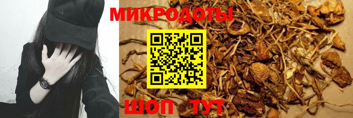 Усинск  Галлюциногенные грибы Cubensis  Вход с VPN 
